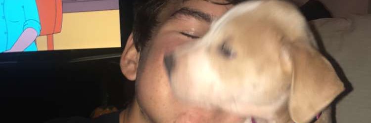 tyler kime banner