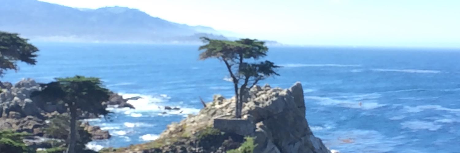 Kevin Chapman banner