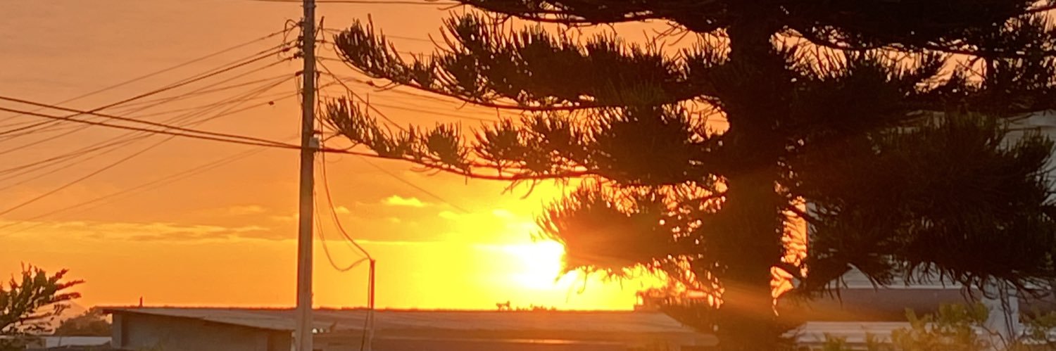 Ivannagalloo's profile banner image