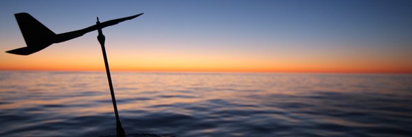 benthic_bryant Profile Banner