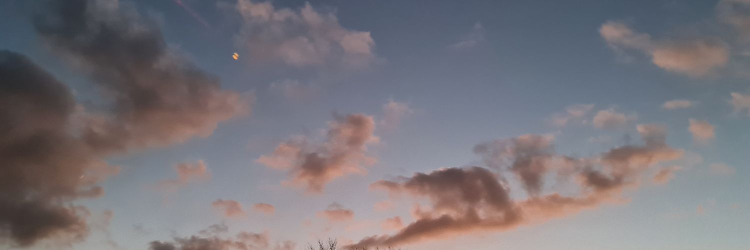 Truth In Shadows banner