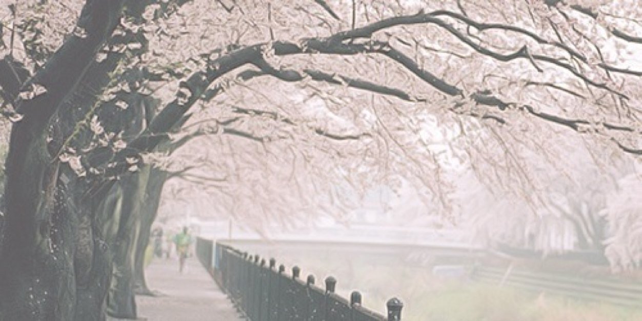 leilallgdr's profile banner image