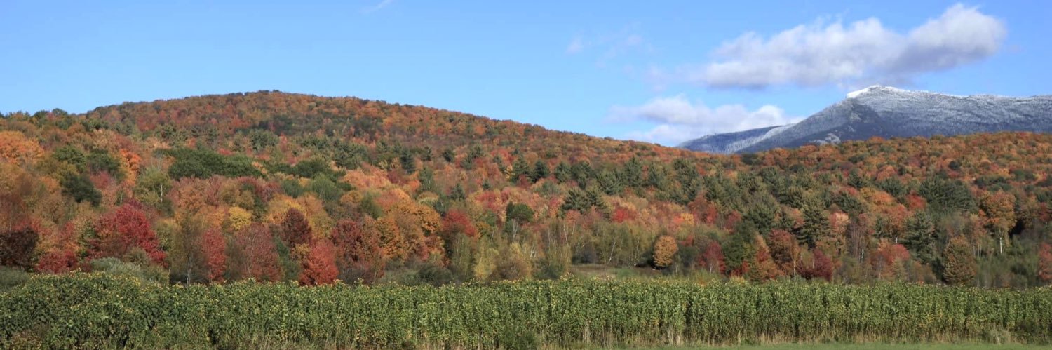 Jess Langlois banner
