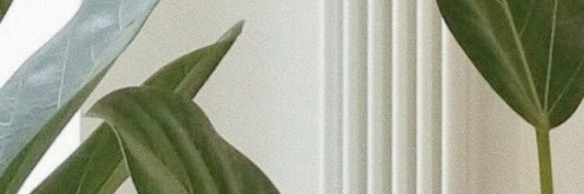 jointsndchaitea's profile banner image