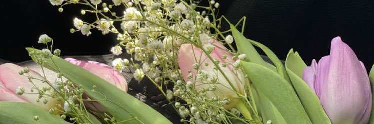 priscillaaceb's profile banner image