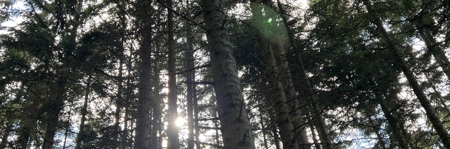 sondosYB's profile banner image