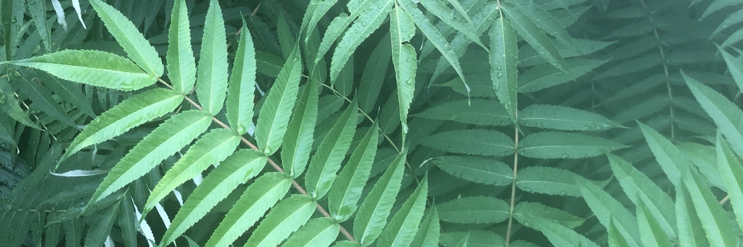 thebiggeragu's profile banner image