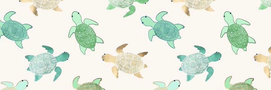 deodatocmares's profile banner image