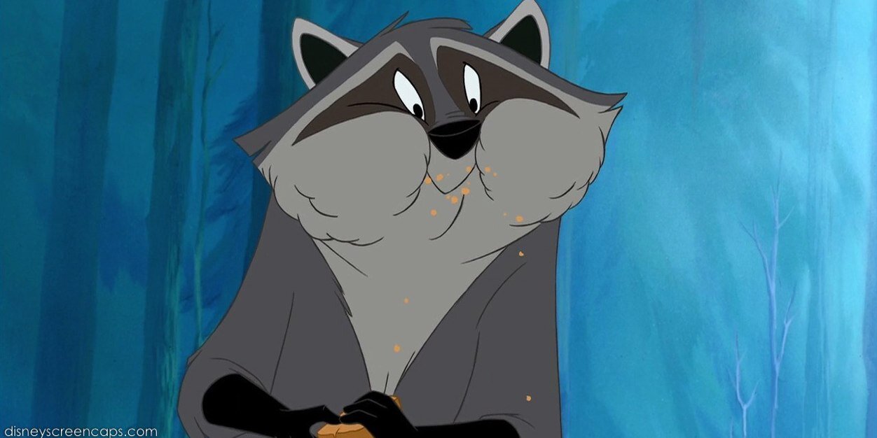 MeeRacoon's profile banner image