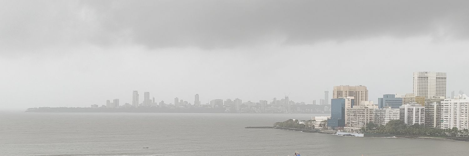 Vivek Menezes banner