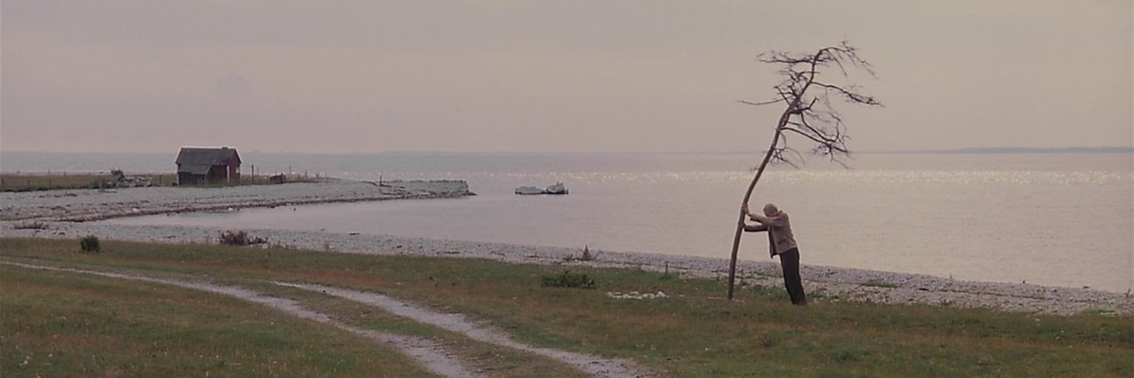 rufinocrjunior's profile banner image