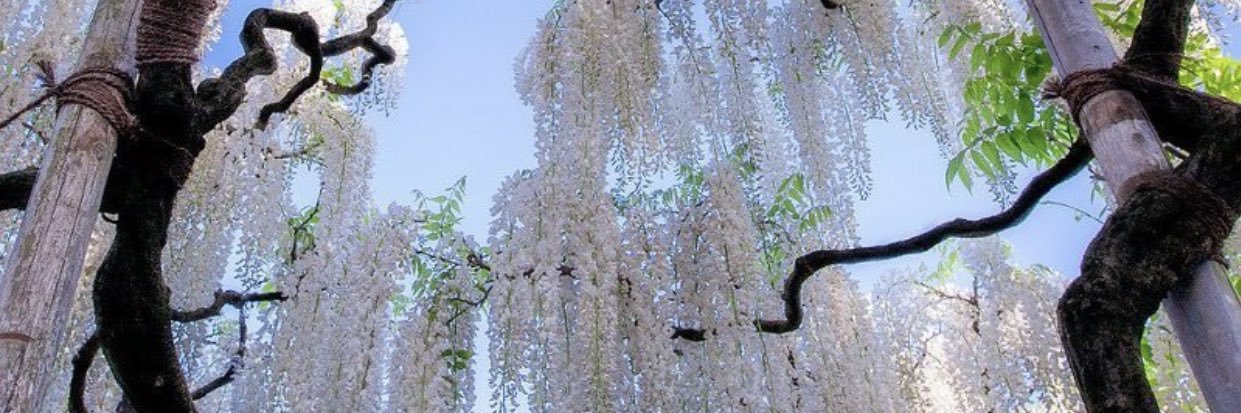 Ayojaeeeeee's profile banner image