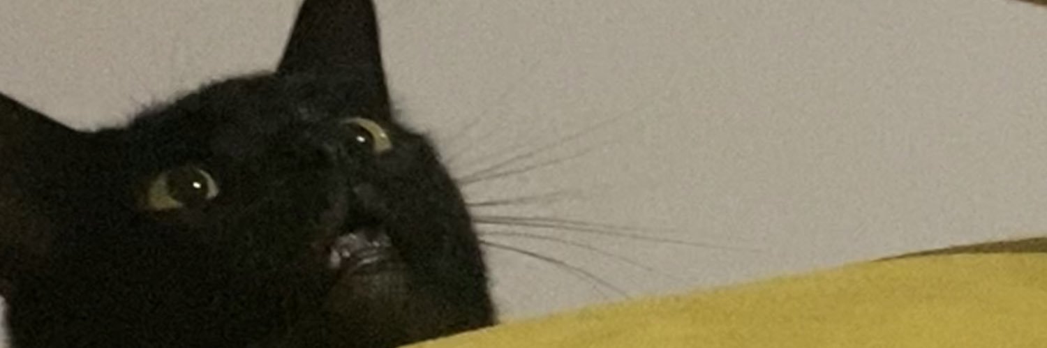 ailimegv's profile banner image