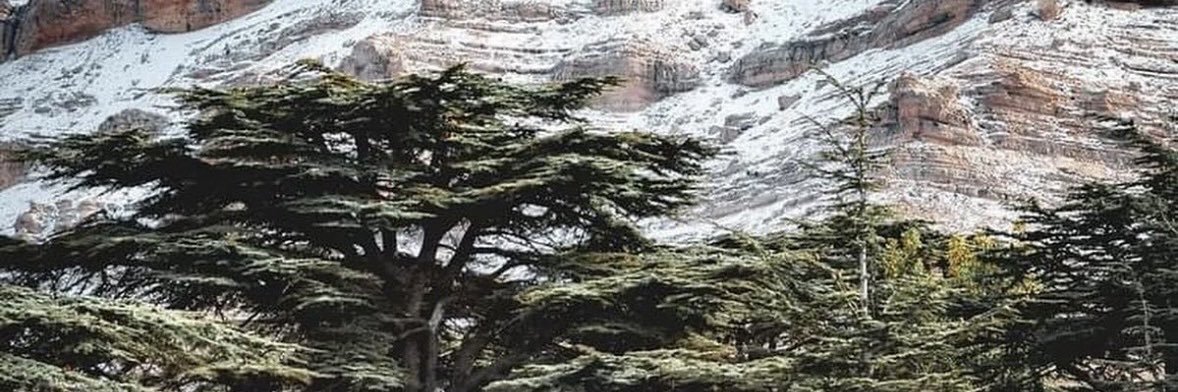 sssskkronf's profile banner image
