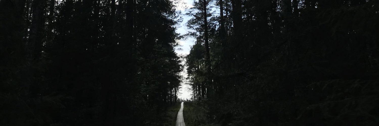 leitenh's profile banner image