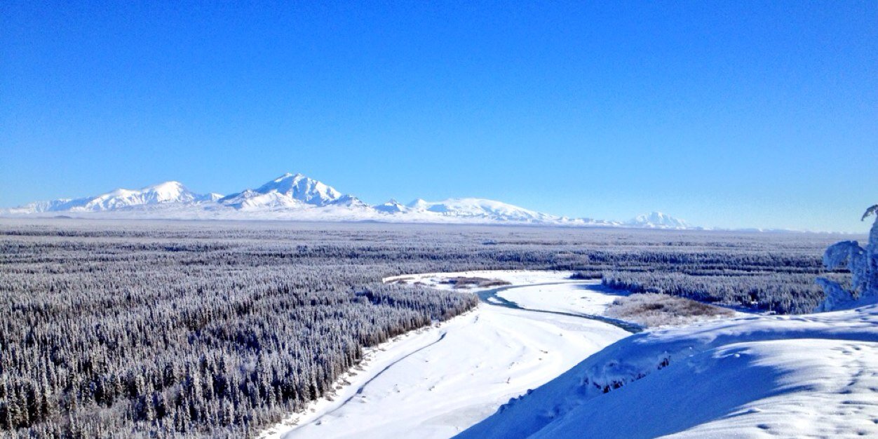 Wild Alaska banner