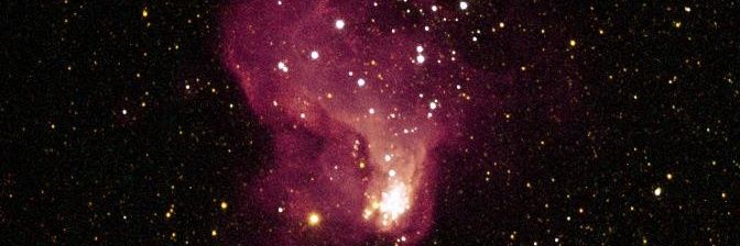 slqquercoisa's profile banner image