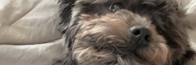 madisonvolk25's profile banner image