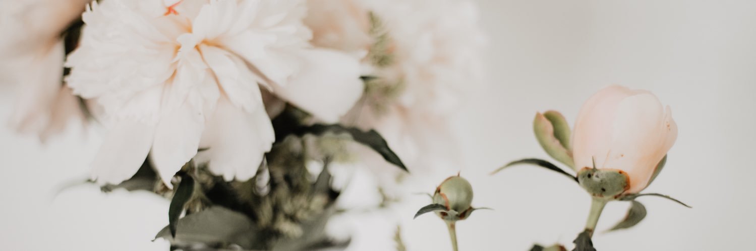 allifenwick_'s profile banner image