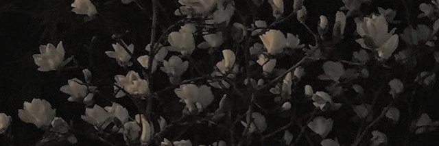 kixXfromhell's profile banner image