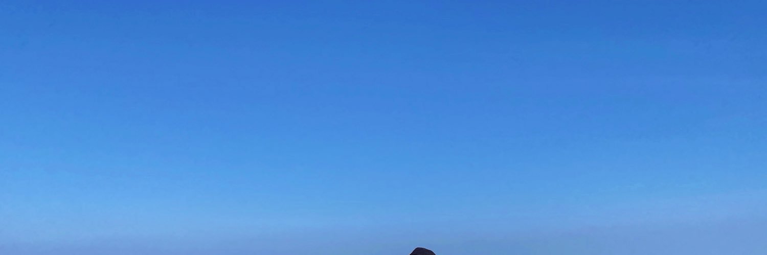 สักวันต้องเป็นบ้าแน่ banner