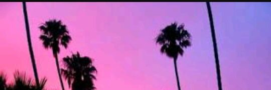 Ylim94's profile banner image