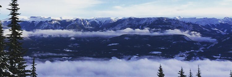 Evanbwood's profile banner image