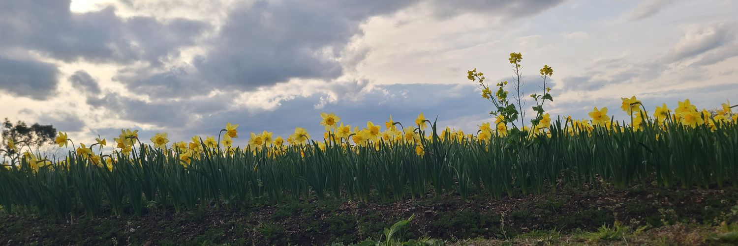 hiroyannhirokit's profile banner image
