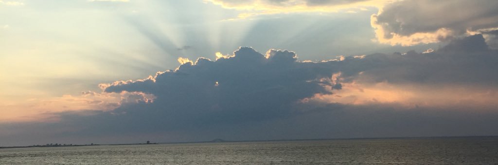 murrdawg2810's profile banner image
