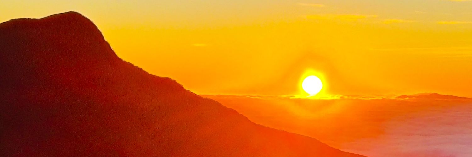 trapo041's profile banner image