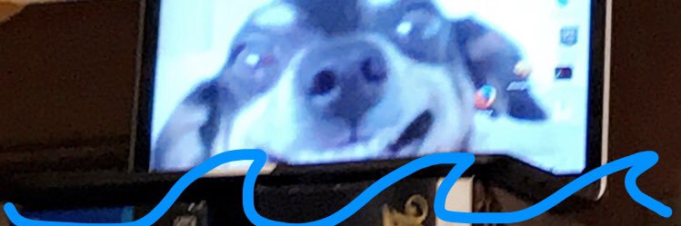 isafanjoy's profile banner image