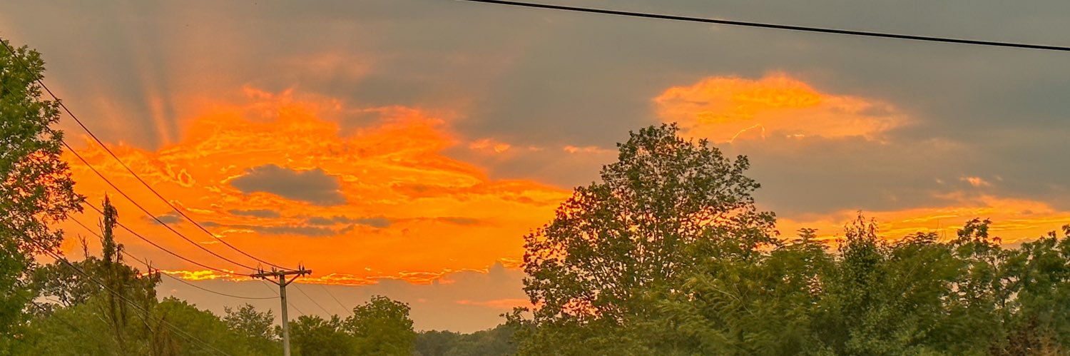 amandxas's profile banner image
