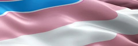 TyraGuicchetti's profile banner image