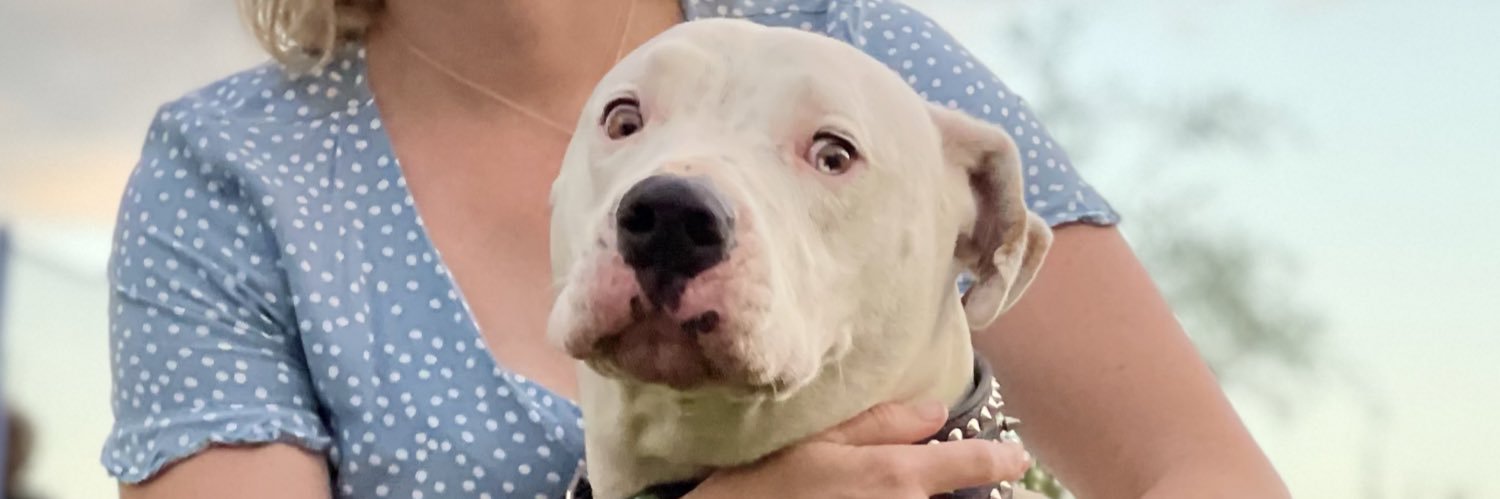 StarJadeReed's profile banner image