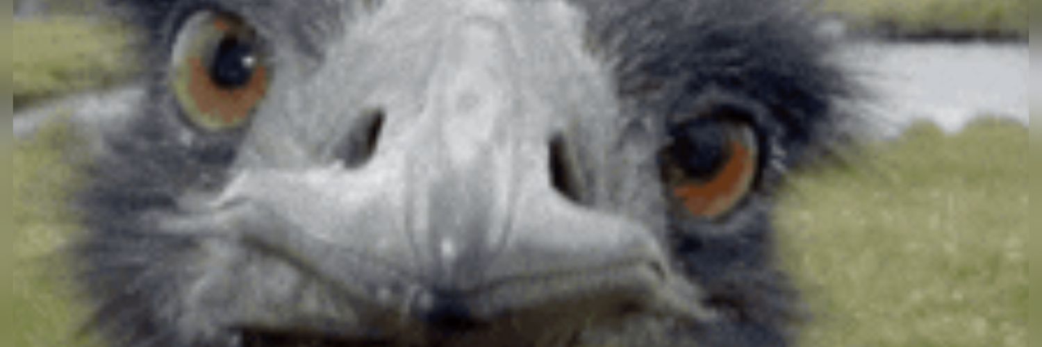 starlight5347's profile banner image