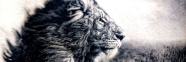 AJStarr Profile Banner