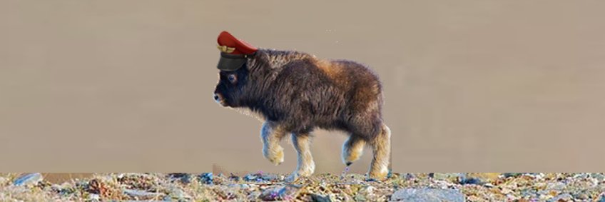 5hrubbery's profile banner image