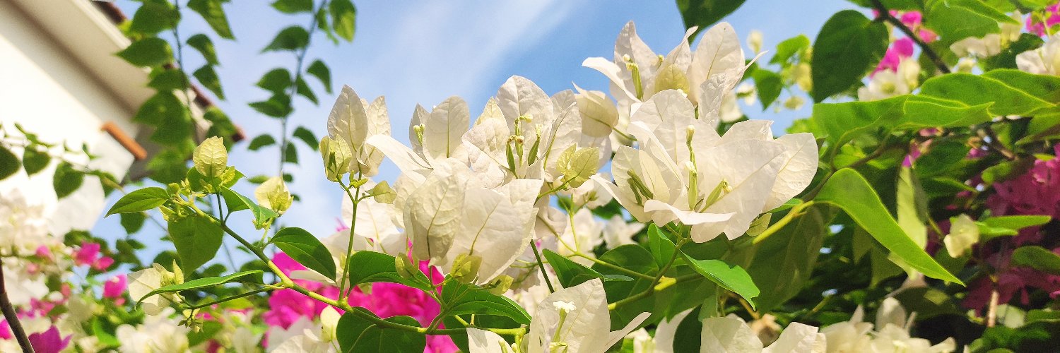 hieppro92's profile banner image