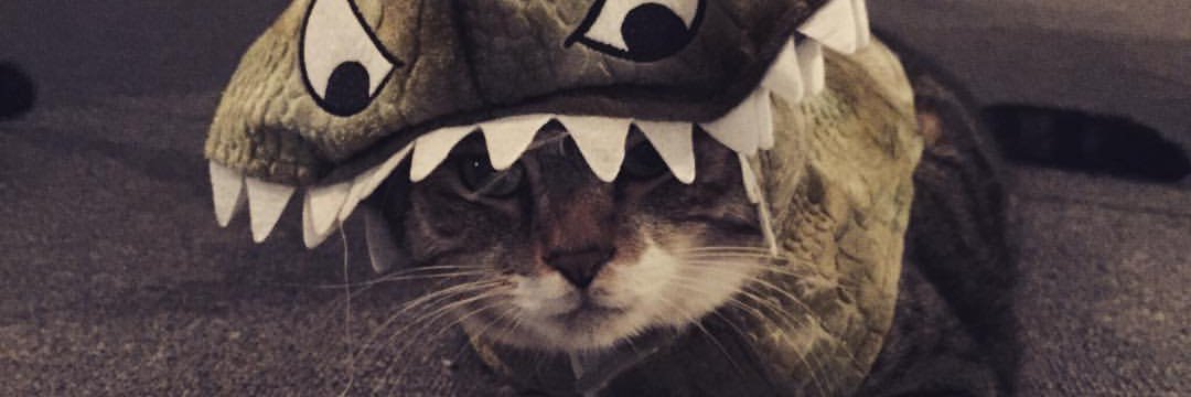 Cab_Savv's profile banner image