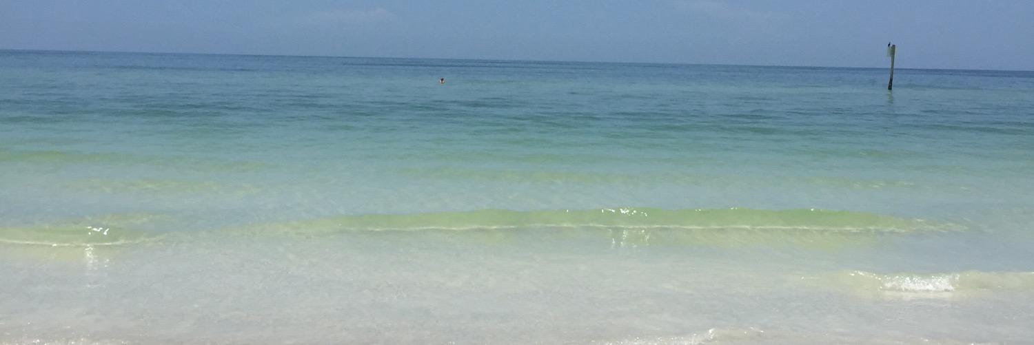 jadesand6's profile banner image