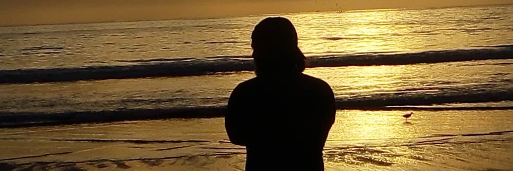Aleysis96's profile banner image
