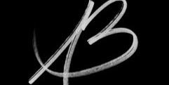 anitrabrame's profile banner image