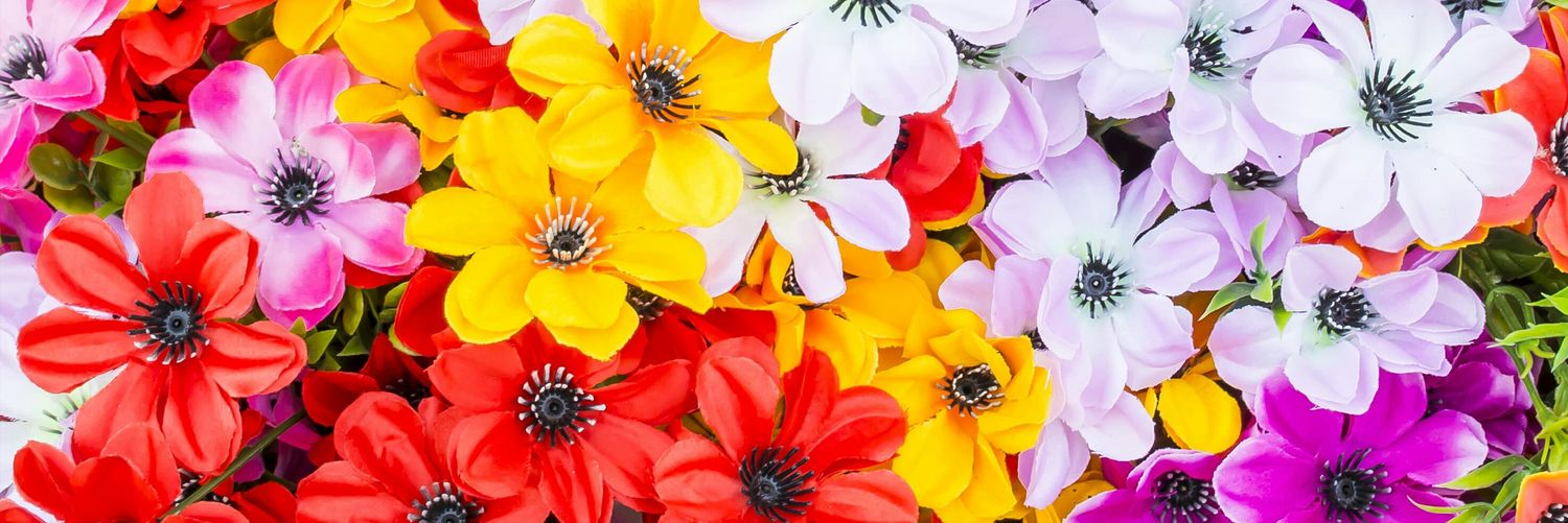 AimaraFerreyra's profile banner image