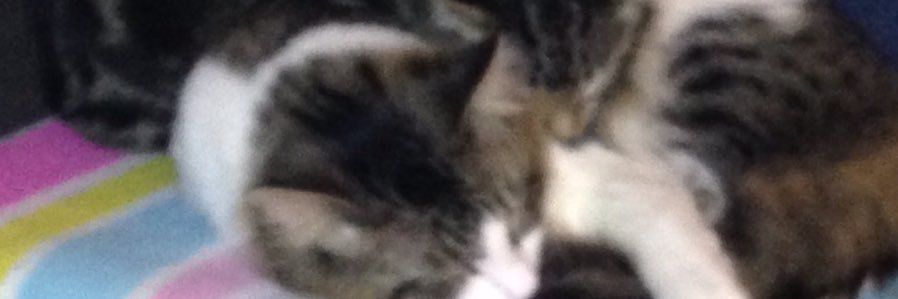 ldickert62's profile banner image