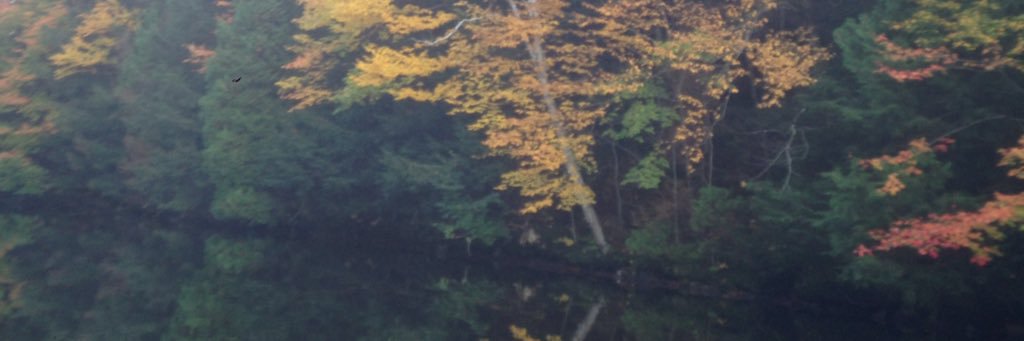 andy_busch11's profile banner image