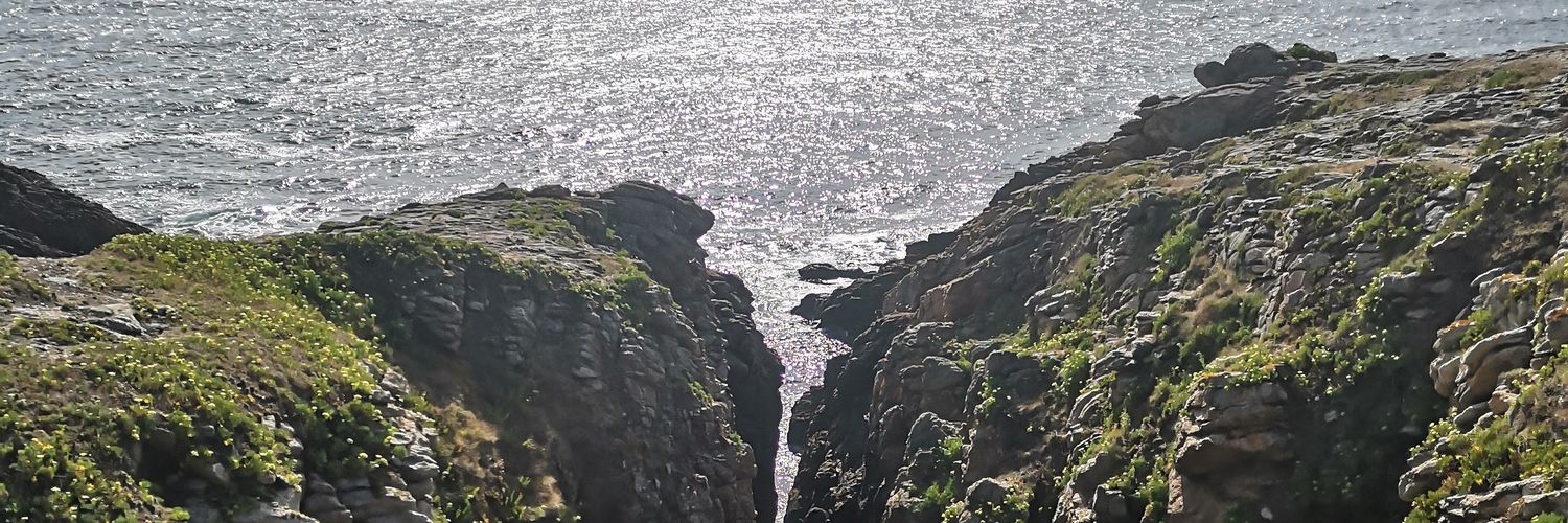 AlbaCugat's profile banner image