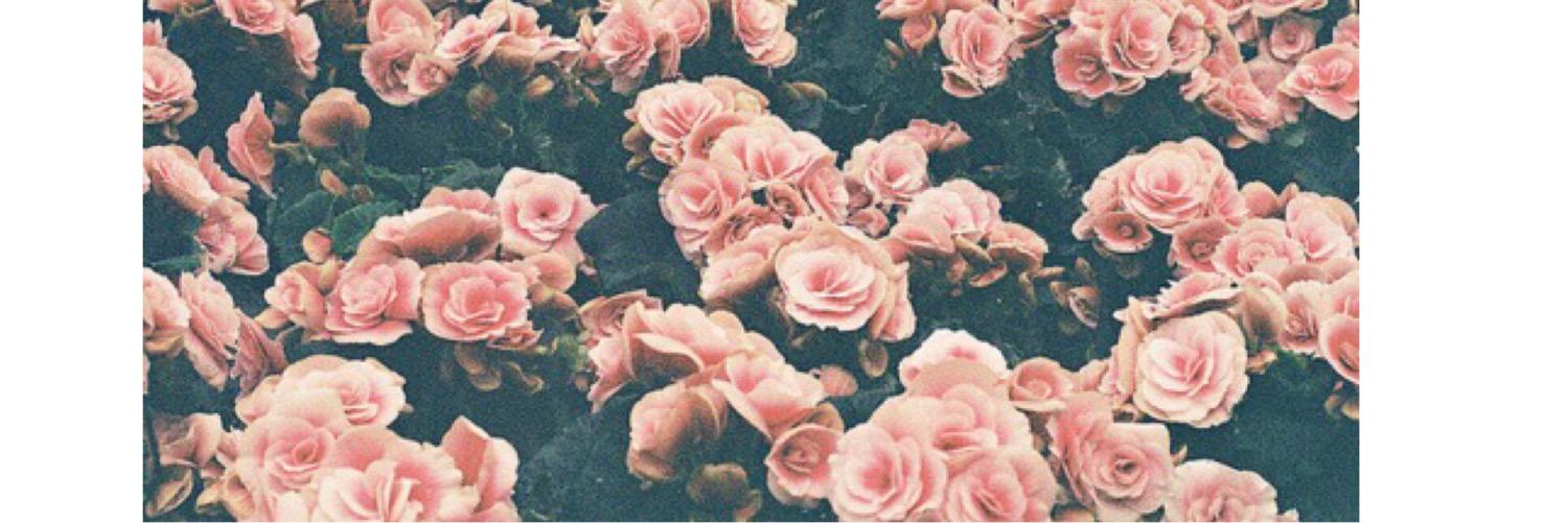 anditsELLIE's profile banner image