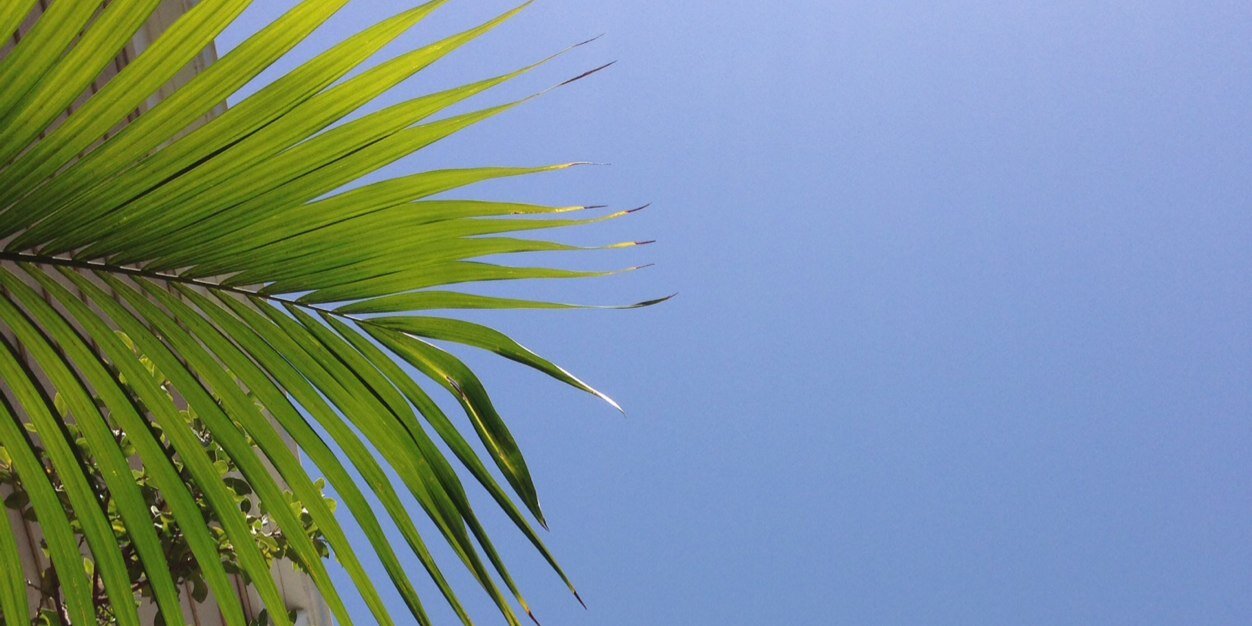 Shebert (@Dctrsuz9) / Posts / X