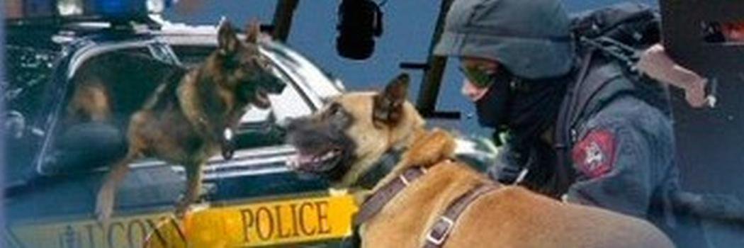 k9centrum's profile banner image