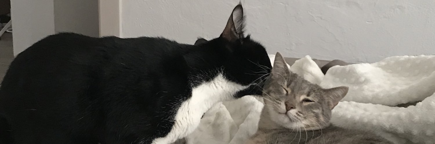 kemalthecreator's profile banner image